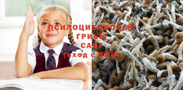 синтетический гашиш Вязьма