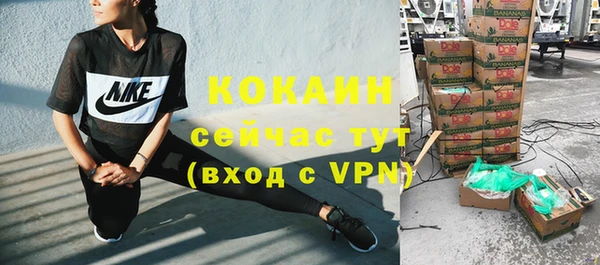 спиды Вяземский