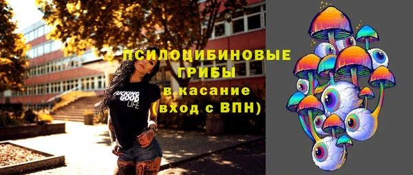 гашик Волосово