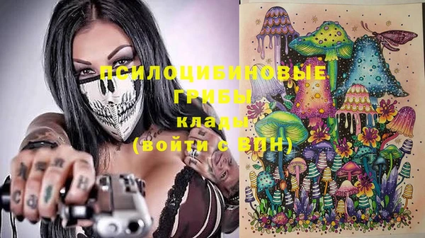 гашик Волосово