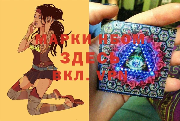 спиды Вяземский