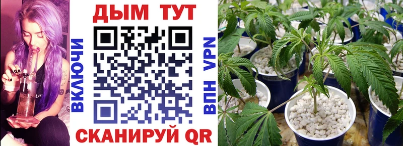 Каннабис гибрид  купить наркотик  Серпухов 